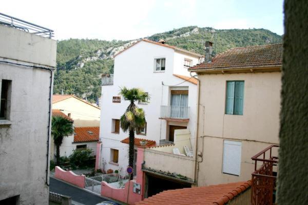 Studio n°1 agréable et bien situé Amélie-les-Bains-Palalda Exterior foto